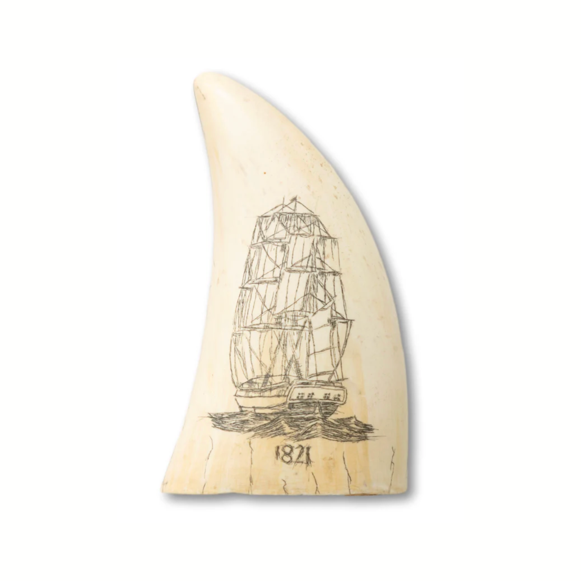 Scrimshaw Whale Tooth (Resin Replica)
